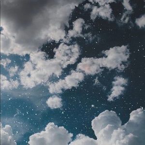 Meet your Posher, Cheyenne